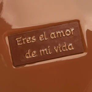 Choco Eres el amor de mi vida 2