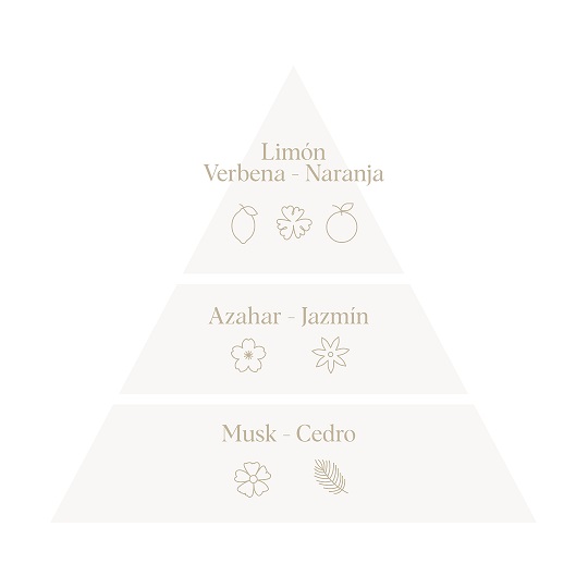 Don Algodon Piramide Olfativa