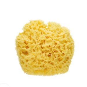 Esponja Natural BABY