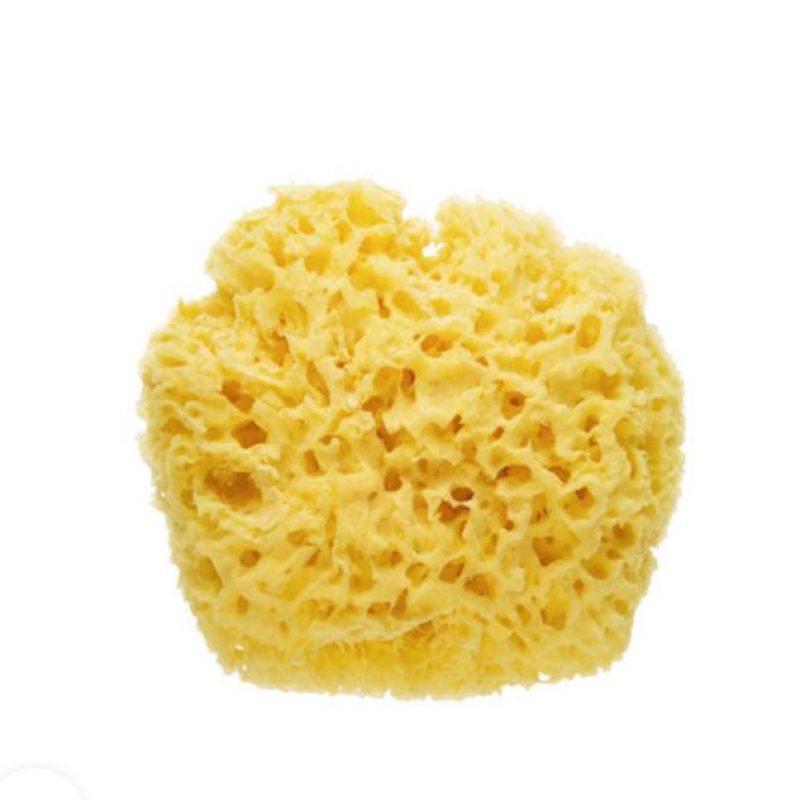 Esponja Natural BABY