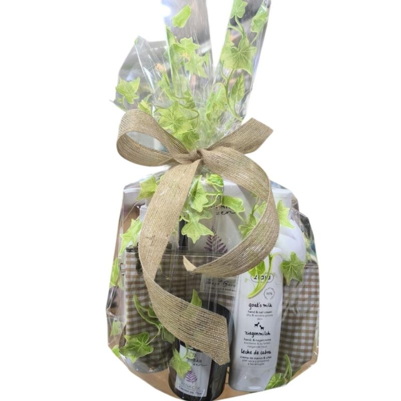 cesta mini salud hogar